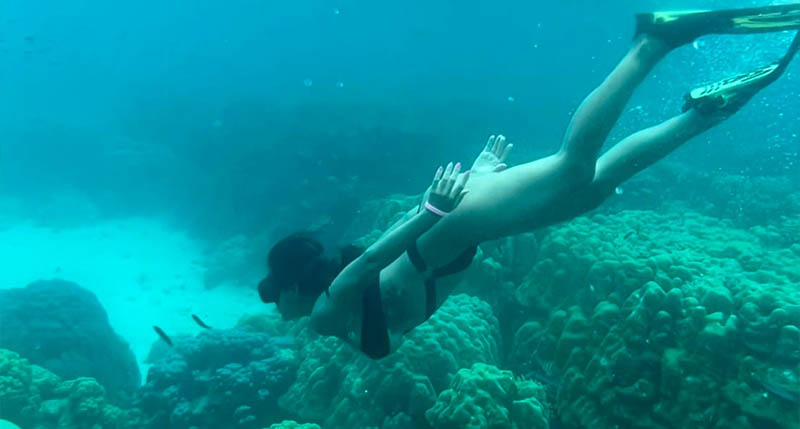 ทัวร์เกาะพีพี 1 วัน จากภูเก็ต