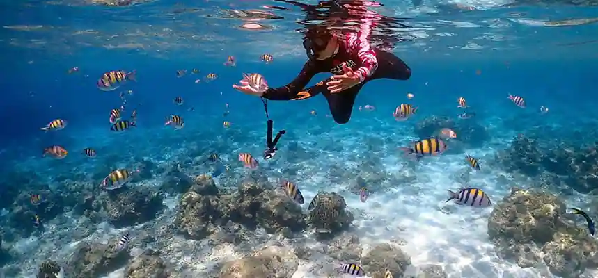 อ่าวมาหยา เกาะพีพี ดำน้ำ ไปเช้าเย็นกลับ เรือเร็ว สปีดโบ๊ท